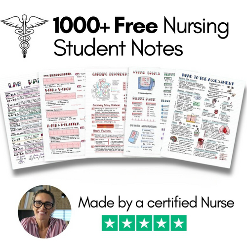 1000+ Nursing Student Notes (Copy)